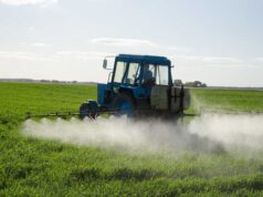 Отримання посвідчення для роботи з пестицидами: важливі умови та процедура Посвідчення-про-право-роботи-з-пестицидами:-для-чого-цей-документ-і-як-його-одержати?