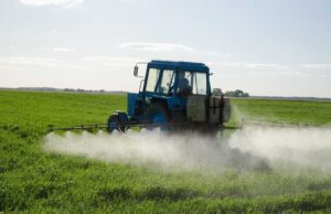 Отримання посвідчення для роботи з пестицидами: важливі умови та процедура Посвідчення-про-право-роботи-з-пестицидами:-для-чого-цей-документ-і-як-його-одержати?