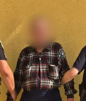 На Закарпатті чоловіка підозрюють у зґвалтуванні 68-річної матері