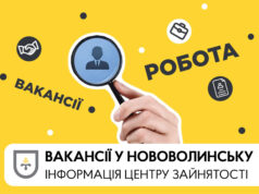 Актуальні вакансії в Нововолинську: вересень 2026 року Інформація-для-тих,-хто-шукає-роботу:-актуальні-вакансії
