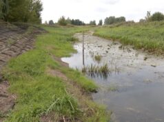 Стихійне гідрологічне явище на річках суббасейну Прип’яті Попередження-про-низькі-рівні-води-на-річках