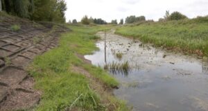 Стихійне гідрологічне явище на річках суббасейну Прип’яті Попередження-про-низькі-рівні-води-на-річках