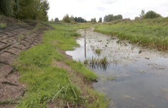 Стихійне гідрологічне явище на річках суббасейну Прип’яті Попередження-про-низькі-рівні-води-на-річках