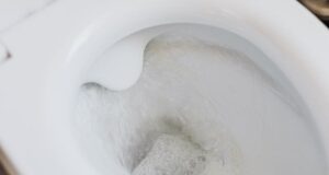 Про це знають далеко не всі: які речі категорично не можна змивати в унітаз Про-це-знають-далеко-не-всі:-які-речі-категорично-не-можна-змивати-в-унітаз