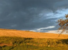 В Україні очікуються дощі та похолодання з 21 вересня В-Україну-йде-холодний-атмосферний-фронт:-очікуються-дощі,-сильний-вітер-та-різке-похолодання