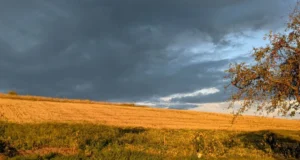 В Україні очікуються дощі та похолодання з 21 вересня В-Україну-йде-холодний-атмосферний-фронт:-очікуються-дощі,-сильний-вітер-та-різке-похолодання