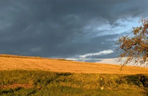 В Україні очікуються дощі та похолодання з 21 вересня В-Україну-йде-холодний-атмосферний-фронт:-очікуються-дощі,-сильний-вітер-та-різке-похолодання