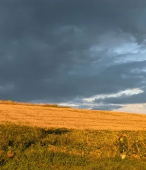 В-Україну-йде-холодний-атмосферний-фронт:-очікуються-дощі,-сильний-вітер-та-різке-похолодання В-Україну-йде-холодний-атмосферний-фронт:-очікуються-дощі,-сильний-вітер-та-різке-похолодання