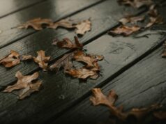 Негода в Україні: в одній із областей оголошено небезпеку Негода-в-Україні:-в-одній-із-областей-оголошено-небезпеку