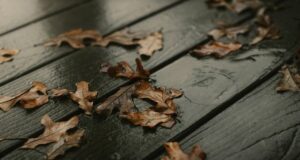 Негода в Україні: в одній із областей оголошено небезпеку Негода-в-Україні:-в-одній-із-областей-оголошено-небезпеку