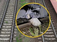 У Польщі вантажні поїзди врізалися в бетонні блоки на залізниці На-сході-Польщі-залізницю-для-вантажних-поїздів-перегородили-бетонними-блоками-–-розпочато-розслідування