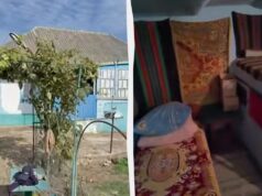 Хату біля річки з меблями і літньою кухнею продають за $3500: як вона виглядає Хату-біля-річки-з-меблями-і-літньою-кухнею-продають-за-$3500:-як-вона-виглядає