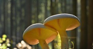 На Україну чекає тепла п’ятниця: де 2 жовтня розігріє до +22° На-Україну-чекає-тепла-п’ятниця:-де-2-жовтня-розігріє-до-+22°