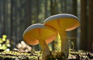На Україну чекає тепла п’ятниця: де 2 жовтня розігріє до +22° На-Україну-чекає-тепла-п’ятниця:-де-2-жовтня-розігріє-до-+22°