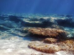 Чорне море нагрівається разом зі Світовим океаном: учені попереджають про загрози Чорне-море-нагрівається-разом-зі-Світовим-океаном:-учені-попереджають-про-загрози