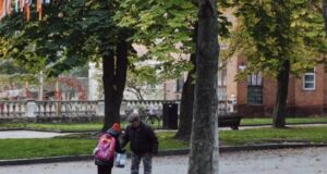 Люди збирають просто на вулицях: у місті на Волині розпочався каштановий сезон Люди-збирають-просто-на-вулицях:-у-місті-на-Волині-розпочався-каштановий-сезон