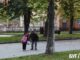 Люди збирають просто на вулицях: у місті на Волині розпочався каштановий сезон Люди-збирають-просто-на-вулицях:-у-місті-на-Волині-розпочався-каштановий-сезон