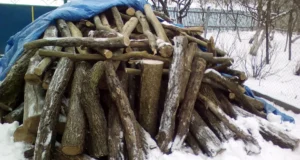 Пенсійний фонд роз’яснив, як отримати зимову субсидію на паливо Пенсійний фонд роз’яснив, як отримати зимову субсидію на паливо