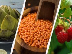 Названо 8 продуктів, які містять більше клітковини, ніж гарбуз Названо-8-продуктів,-які-містять-більше-клітковини,-ніж-гарбуз
