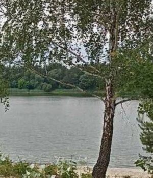 У-водоймах-Волин-продовжує-падати-рівень-води
