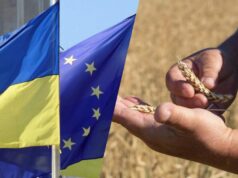 Україні можуть обмежити доступ агропродукції до ринку ЄС: Висоцький зробив заяву Україні-можуть-обмежити-доступ-агропродукції-до-ринку-ЄС:-Висоцький-зробив-заяву
