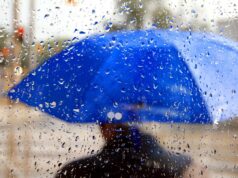 Наступний тиждень принесе в Україну дощі та холоднечу, – синоптикиня Діденко Наступний-тиждень-принесе-в-Україну-дощі-та-холоднечу,-–-синоптикиня-Діденко