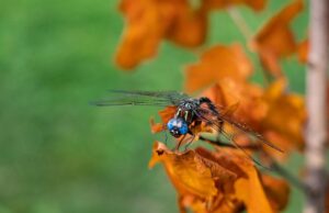 8 жовтня в Україні буде останній теплий день: розігріє до +26° 8-жовтня-в-Україні-буде-останній-теплий-день:-розігріє-до-+26°