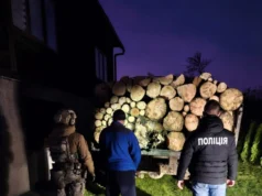 ВВідео: на Закарпатті судитимуть членів ОЗГ за вирубку заповідного лісу ВВідео: на Закарпатті судитимуть членів ОЗГ за вирубку заповідного лісу