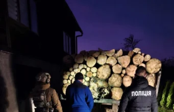 ВВідео: на Закарпатті судитимуть членів ОЗГ за вирубку заповідного лісу ВВідео: на Закарпатті судитимуть членів ОЗГ за вирубку заповідного лісу