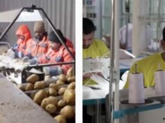 Кремлівська авантюра з залучення іноземних трудових мігрантів провалилася, – розвідка Кремлівська-авантюра-з-залучення-іноземних-трудових-мігрантів-провалилася,-–-розвідка