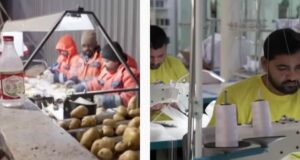 Кремлівська авантюра з залучення іноземних трудових мігрантів провалилася, – розвідка Кремлівська-авантюра-з-залучення-іноземних-трудових-мігрантів-провалилася,-–-розвідка