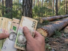 На Волині «Ліси України» заплатять пів мільйона гривень за дві сосни, які не вберегли На-Волині-«Ліси-України»-заплатять-пів-мільйона-гривень-за-дві-сосни,-які-не-вберегли