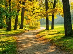Україну розігріє до +26°: синоптик розказав, куди повернеться справжнє літо Україну-розігріє-до-+26°:-синоптик-розказав,-куди-повернеться-справжнє-літо
