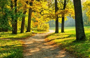 Україну розігріє до +26°: синоптик розказав, куди повернеться справжнє літо Україну-розігріє-до-+26°:-синоптик-розказав,-куди-повернеться-справжнє-літо