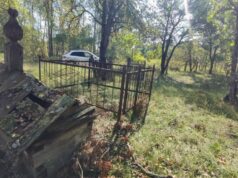 На кладовищах навколо Чорнобиля ростуть дерева зі стовбурами завтошки 5 метрів На-кладовищах-навколо-Чорнобиля-ростуть-дерева-зі-стовбурами-завтошки-5-метрів