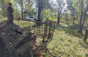 На кладовищах навколо Чорнобиля ростуть дерева зі стовбурами завтошки 5 метрів На-кладовищах-навколо-Чорнобиля-ростуть-дерева-зі-стовбурами-завтошки-5-метрів