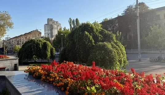 Дощі та похолодання накриють Україну протягом тижня з 12 до 18 жовтня Дощі та похолодання накриють Україну протягом тижня з 12 до 18 жовтня