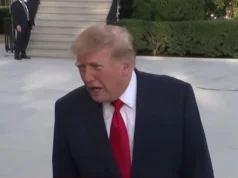 Трамп вважає, що Путін і Зеленський прагнуть до мирної угоди Потрібно-переконати-Зеленського,-путін-більше-зацікавлений-у-мирній-угоді-–-Трамп