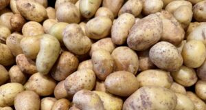 Більшість овочів дешевшає, але молода картопля здорожчала втричі: які ціни зараз Більшість-овочів-дешевшає,-але-молода-картопля-здорожчала-втричі:-які-ціни-зараз