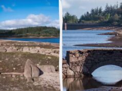 У обмілілому водосховищі у Британії з-під води з’явилися поселення віком 4000 років У-обмілілому-водосховищі-у-Британії-з-під-води-з’явилися-поселення-віком-4000-років