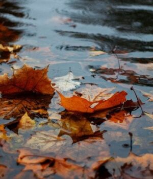 До України-йде-південний-вихор-з зливами:-синоптики-дають-невтішний-прогноз-до кінця-тижня До України-йде-південний-вихор-з зливами:-синоптики-дають-невтішний-прогноз-до кінця-тижня