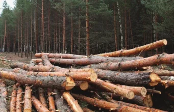 Операція Зелений щит: ДБР повідомило про підозру 23 фігурантам, є затримані Операція Зелений щит: ДБР повідомило про підозру 23 фігурантам, є затримані