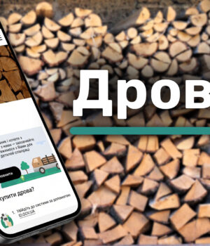 Скільки-на-Волині-коштують-дрова-і-чому-їх-не-хочуть-купувати-на-державному-порталі-«ДроваЄ» Скільки-на-Волині-коштують-дрова-і-чому-їх-не-хочуть-купувати-на-державному-порталі-«ДроваЄ»