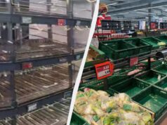 Марафон “встигни все”: українка показала зворотний бік німецького комфорту Марафон-“встигни-все”:-українка-показала-зворотний-бік-німецького-комфорту