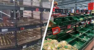 Марафон “встигни все”: українка показала зворотний бік німецького комфорту Марафон-“встигни-все”:-українка-показала-зворотний-бік-німецького-комфорту