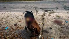 Ракетний удар по парку на Харківщині: загинуло шестеро людей, зокрема троє дітей Загинуло-немовля-у-візочку-й-ще-пʼятеро-людей.-Удар-по-парку-на-Харківщині