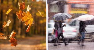 Україну накриють дощі й сильний вітер: де 22 жовтня погода зіпсується найбільше Україну-накриють-дощі-й-сильний-вітер:-де-22-жовтня-погода-зіпсується-найбільше