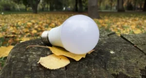 У частині областей України 25 жовтня діятимуть графіки відключення світла У частині областей України 25 жовтня діятимуть графіки відключення світла