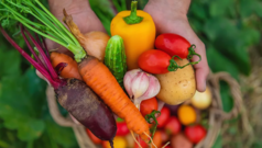 Продукти для молодості шкіри: що варто додати до раціону Що-їсти,-щоб-шкіра-довше-була-молодою