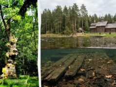 На Поліссі є таємниче озеро, дно якого, за легендою, встелили дубом для панночки На-Поліссі-є-таємниче-озеро,-дно-якого,-за-легендою,-встелили-дубом-для-панночки